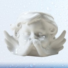  Vasetti Piante Grasse Pianta