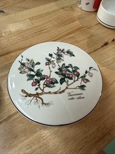 Villeroy & Boch Botanica
