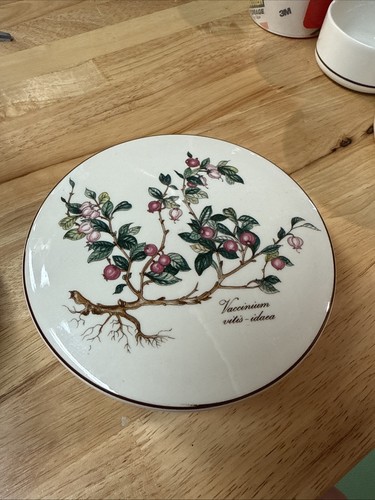 Villeroy boch botanica - villeroy,
