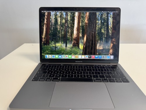 Apple macbook pro - macbook, 13,3"