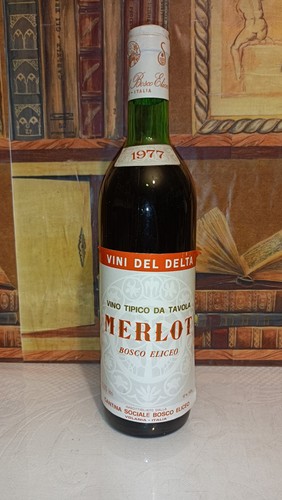 Vino 1977 merlot - merlot, cantina
