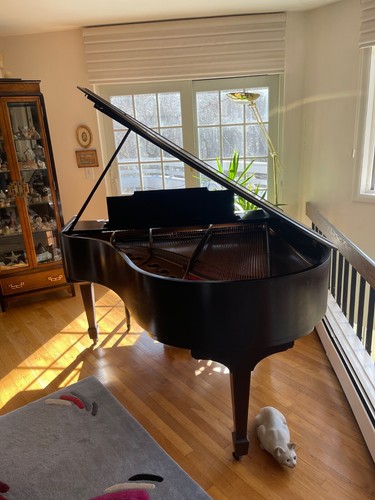1929 steinway baby - 1929, piano
