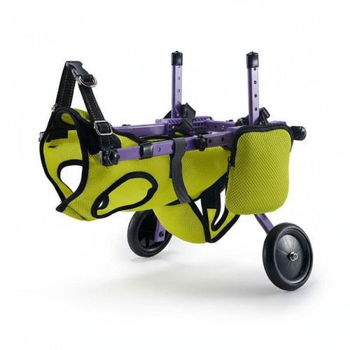 Carrozzina canina regolabile - carrozzina,