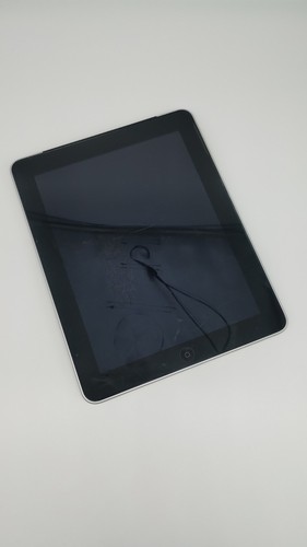 Apple ipad non funzionante - ipad,