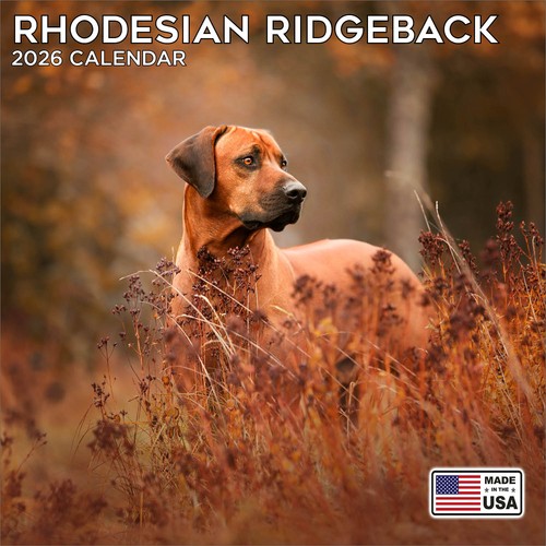 Rhodesian ridgeback calendar - ridgeback,