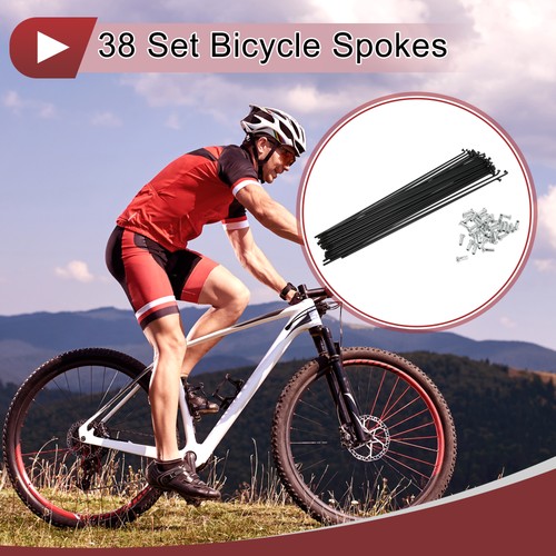 Set raggi bici 13g 243mm - 38,