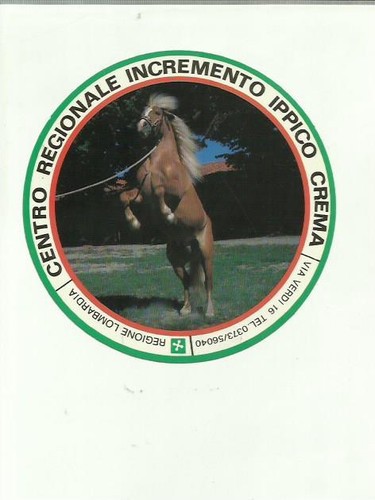 Adesivo vintage sticker centro - vintage,