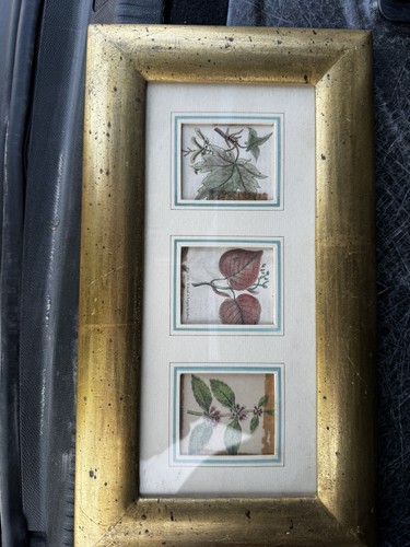 Trittico stampe botaniche - trittico,