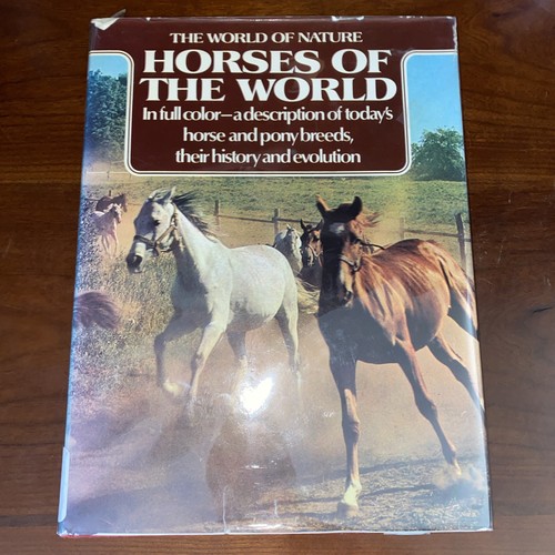 Vintage 1973 horses - -, of