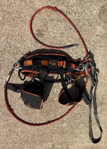 Treehog razorbak arborist - razorbak,