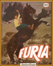 FURIA CAVALLO DEL WEST 1977 libera riduzione dallo sceneggiato di Seymandi Libro