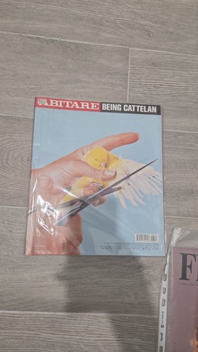 Rarissimo abitare rivista - rarissimo,