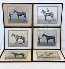 6 x Vintage Horse Portrait