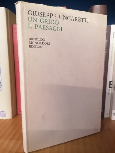 Ungaretti grido paesaggi - un,