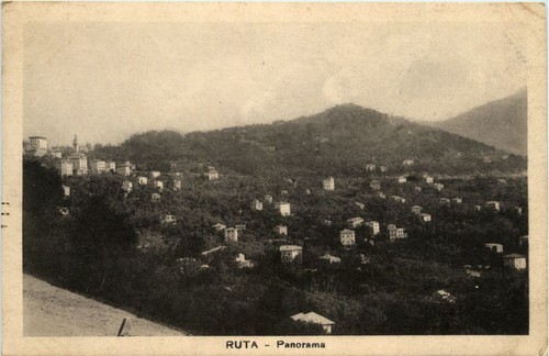 Ruta 446806 - ruta, -446806