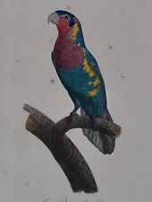 Nastro Jacques Barra