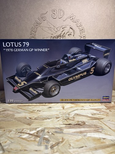 Lotus 1978 german winner - lotus,