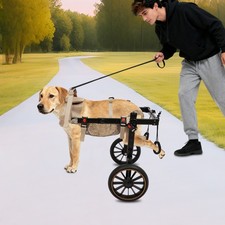 Sedia a rotelle per cani zampe