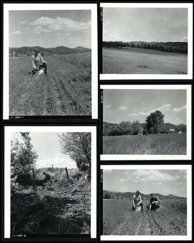 Carl huse farm bradford - huse,