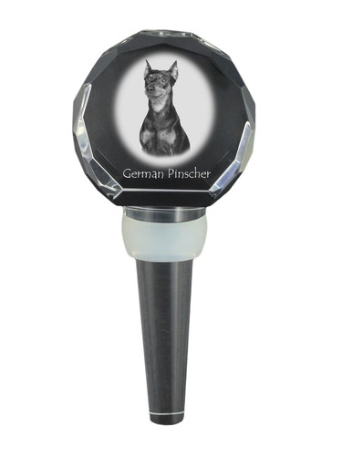 Pinscher tedesco tappo - , più
