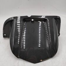 COPRI RUOTA POSTERIORE IN CARBONIO - YAMAHA FZ1 FAZER 2006-2016