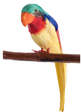 Costume finto uccellino