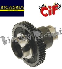 21753 - CIF - SCATOLA