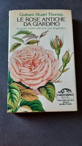 Rose antiche giardino - antiche,