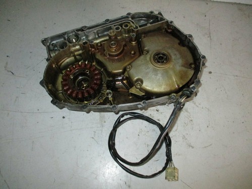Carter magnete statore - magnete,