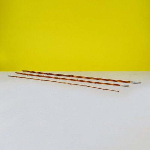 Canna pesca scomponibile in - da,
