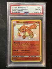 Pokémon TCG Charmeleon