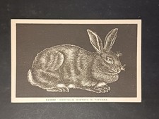 Cartolina non viaggiata ed