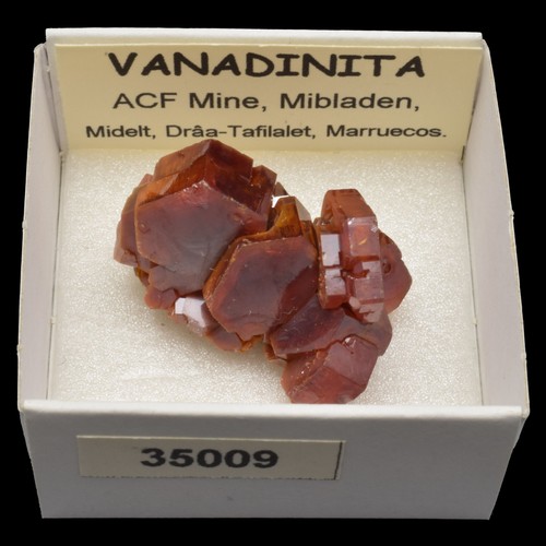 Vanadinita acf mine - (acf,