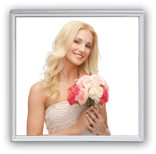 Zep silver frame - frame,