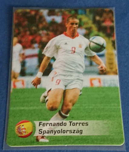 Fernando torres rookie card - fernando,