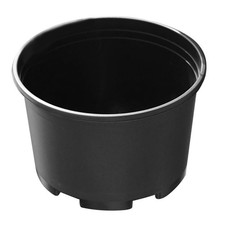  Vasi Per Orchidee Grandi in