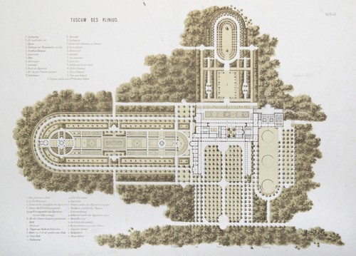 Toscana pianta giardino tuscum - toscana,