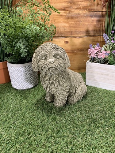 Statua regalo cane shih tzu - regalo,