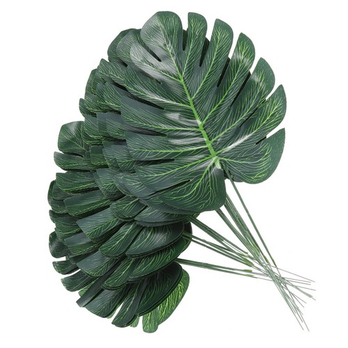 Pcs piante tropicali - ,