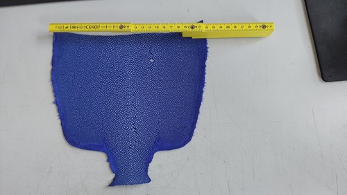Pelle perla blu e - 1/2,