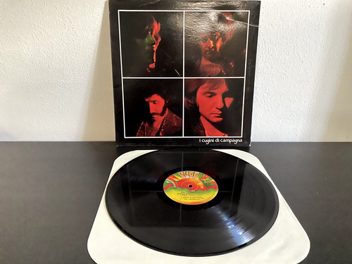 Vinili cugini di campagna - vinili-lp-i,