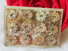 Rara Piccola Placca Bottoni Antichi IN Madreperla 1,1 CM Lotto Di 12 N° 37