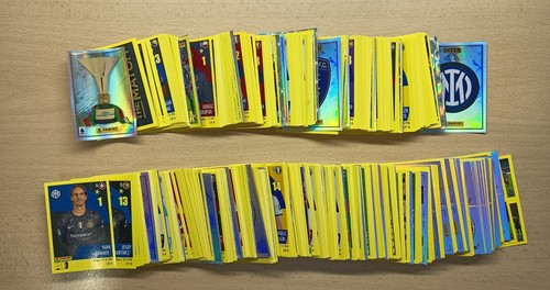 Panini calciatori 2024 - calciatori,