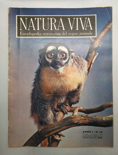 Natura viva enciclopedia - natura,