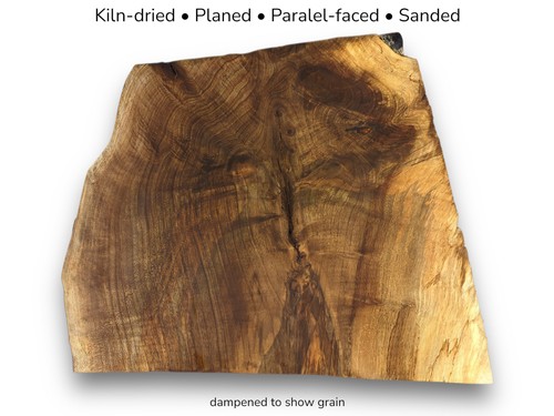 Fetta legno radice - legno, di