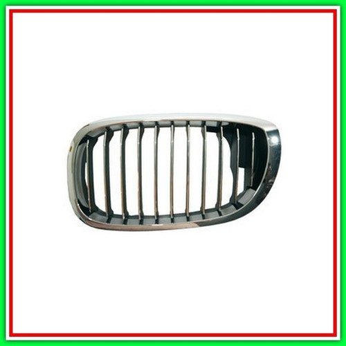 Griglia radiatore sinistra - radiatore,