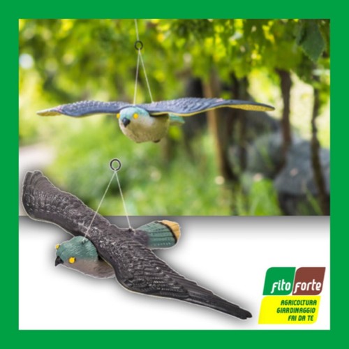 Spaventapasseri stocker falco - spaventapasseri,
