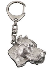 Dogo Argentino Argentinische