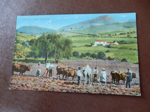 Arando gran canaria - , postcard