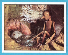 PINOCCHIO (LE AVVENTURE